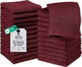 DAN RIVER 24 Pack Wash Cloths for Showering by DanRiver