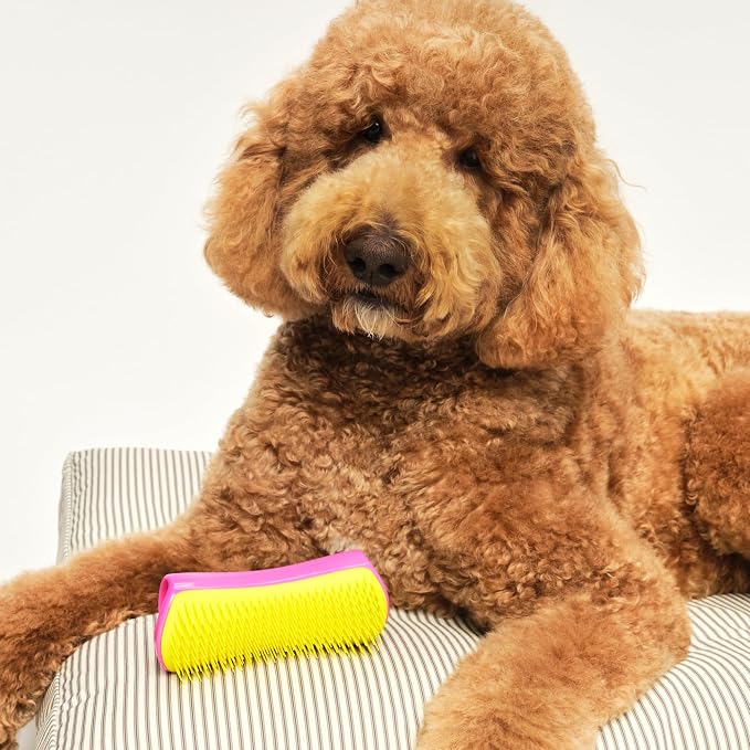 Pet Teezer Detangling Dog Grooming Brush, Dog Bath Brush - Image 7