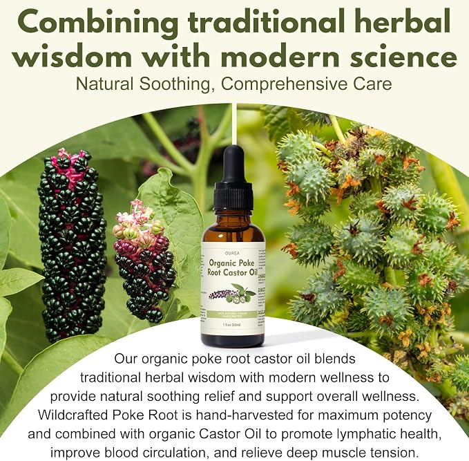 Organic Poke Root Castor Oil – 1 Fl Oz Natural Lymphatic Support Massage Oil - Image 4