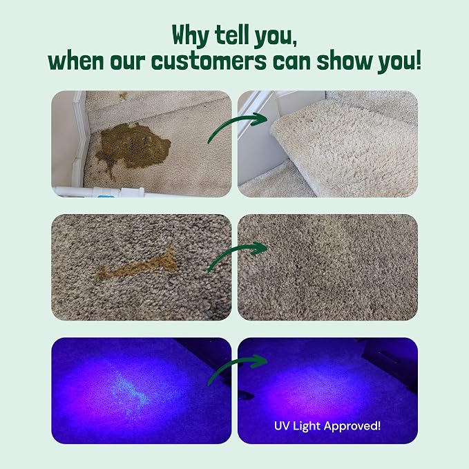 Sunny & Honey Enzyme Cleaner & Stain Remover - 1 gal - Image 2