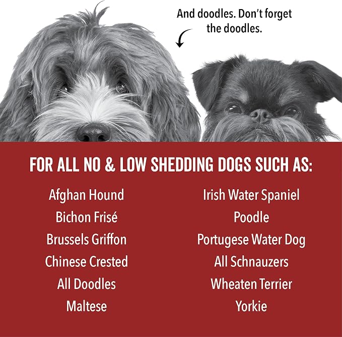 Pride and Groom DogDays Curly + Wavy Grooming Shampoo | Tearless, All-Natural - Image 7