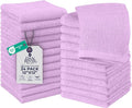 DAN RIVER 24 Pack Wash Cloths for Showering by DanRiver