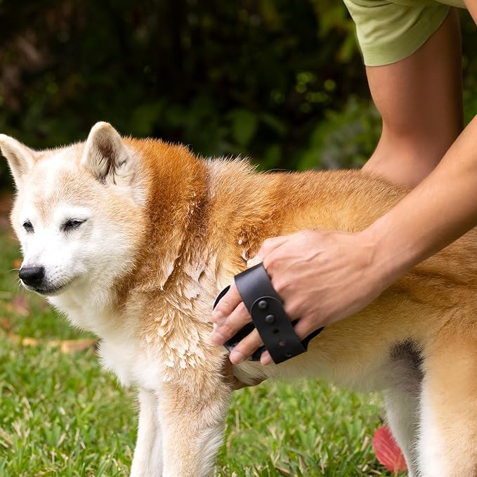 6-in-1 Moisturizing Dog Shampoo - Image 2