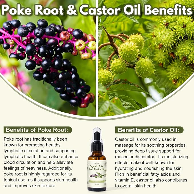 Organic Poke Root Castor Oil – 1 Fl Oz Natural Lymphatic Support Massage Oil - Image 6