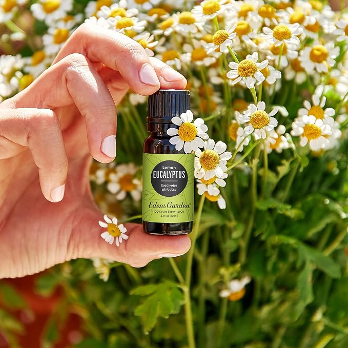 Edens Garden Eucalyptus- Lemon Essential Oil- 100% Pure Premium Grade, - Image 2