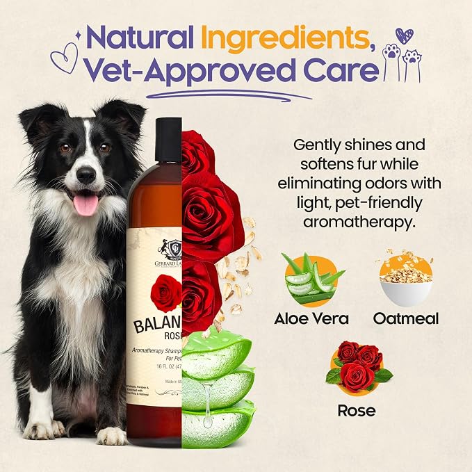 Dog Shampoo and Conditioner Balancing Rose 16 Fl Oz Dog Shampoo Itchy Skin - Image 3