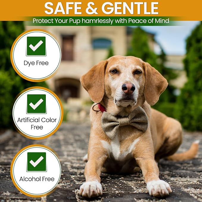 Dry Skin & Anti Itch Shampoo for Dogs | Oatmeal Dog Shampoo | Itchy Skin Relief - Image 4