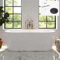 FerdY Shangri-La 67" Acrylic Freestanding Bathtub, Classic Oval Shape Acrylic by FerdY