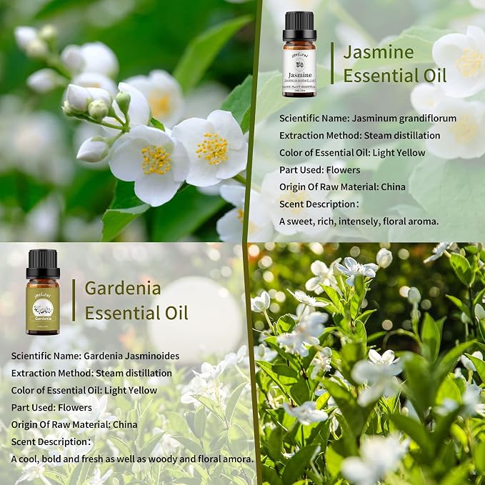 yethious Jasmine Gardenia Essential Oil Set 100% Pure Gardenia Fragance Oil - Image 2