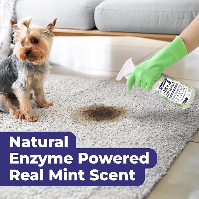 Mighty Mint Stain & Odor Remover, Natural Enzyme Spray Safely Neutralizes Odor - Image 3