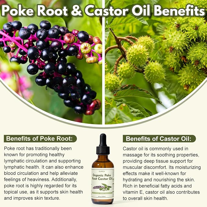 Organic Poke Root Castor Oil – 2 Fl Oz Natural Lymphatic Support Massage Oil - Image 6