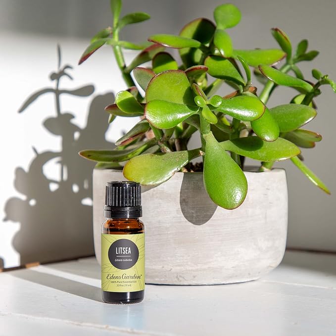Edens Garden Litsea Essential Oil- 100% Pure Premium Grade, Therapeutic - Image 2