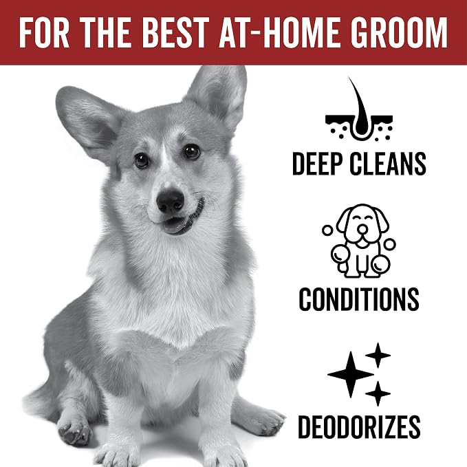 Pride and Groom DogDays Nourishing Dog Conditioner | Tearless, Hypoallergenic - Image 2