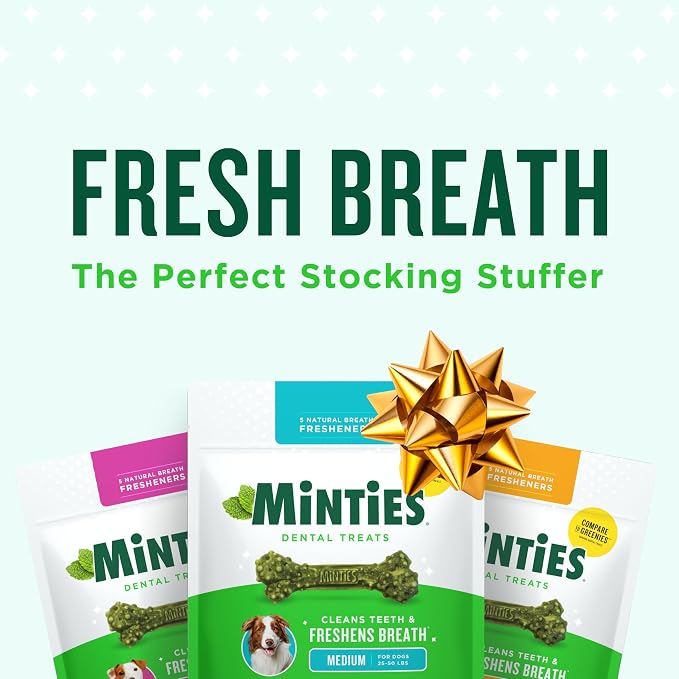 Minties Dental Chews for Dogs, Vet-Recommended Mint-Flavored Dental Dog Treats - Image 2