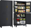75" Tall Metal Kitchen Pantry Storage Cabinet, Freestanding Cupboard Storage by Unknown