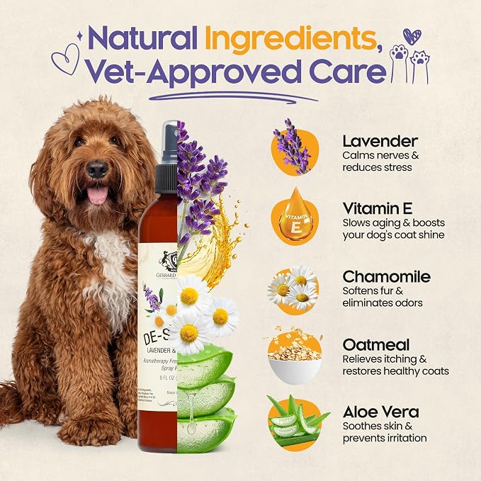 Dog Perfume Spray Long Lasting Chamomile & Lavender 8 Fl Oz, Dog Cologne Spray - Image 3