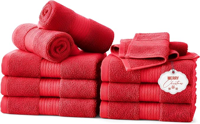 Ample Decor Wash Cloths Pack of 10, 600 GSM 100% Cotton Soft Absorbent by AmpleDecor
