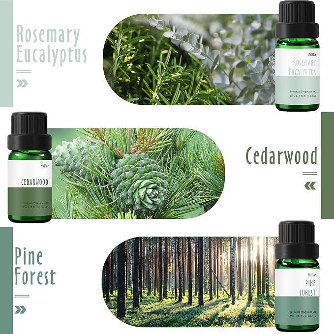 Fragrance Oil, MitFlor Woodland Set of Scented Essential Oils, 10ml x 6 - Image 2