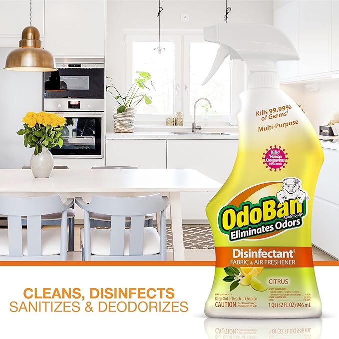 OdoBan 360-Degree Continuous Spray Natural Oil Real Citrus Orange Air Freshener - Image 4