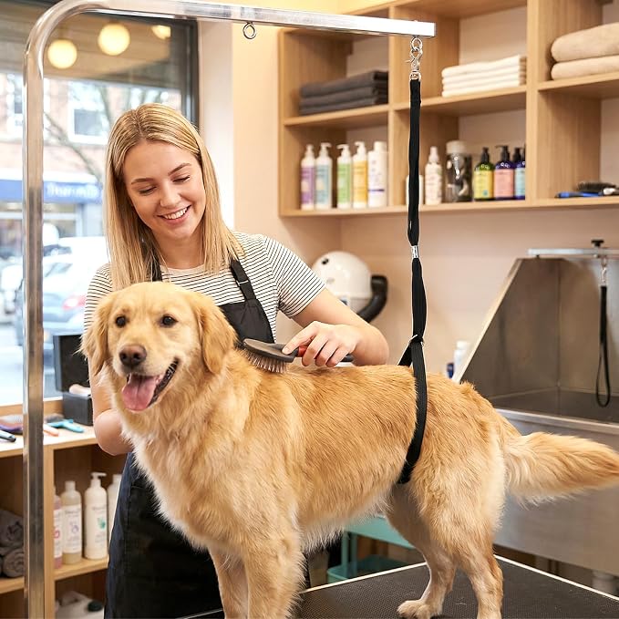 Adjustable Nylon Pet Grooming Loop - Image 4