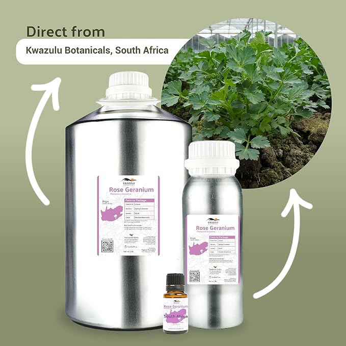 Rose Geranium Essential Oil - Image 2