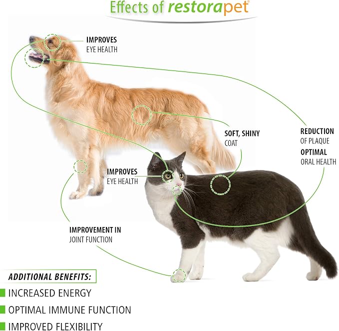 RestoraPet 1-Pack Dog & Cat Beef Liquid Multivitamin | Dog Arthritis Pain - Image 3