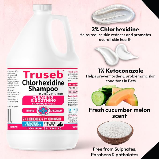 Truseb Topical Ketoconazole and Chlorhexidine Shampoo - Image 4