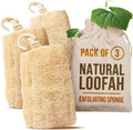 CraftsOfEgypt Natural Loofah Sponge – Egyptian Luffa Body Scrubber Pack of 3 by CraftsOfEgypt