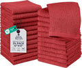 DAN RIVER 24 Pack Wash Cloths for Showering by DanRiver