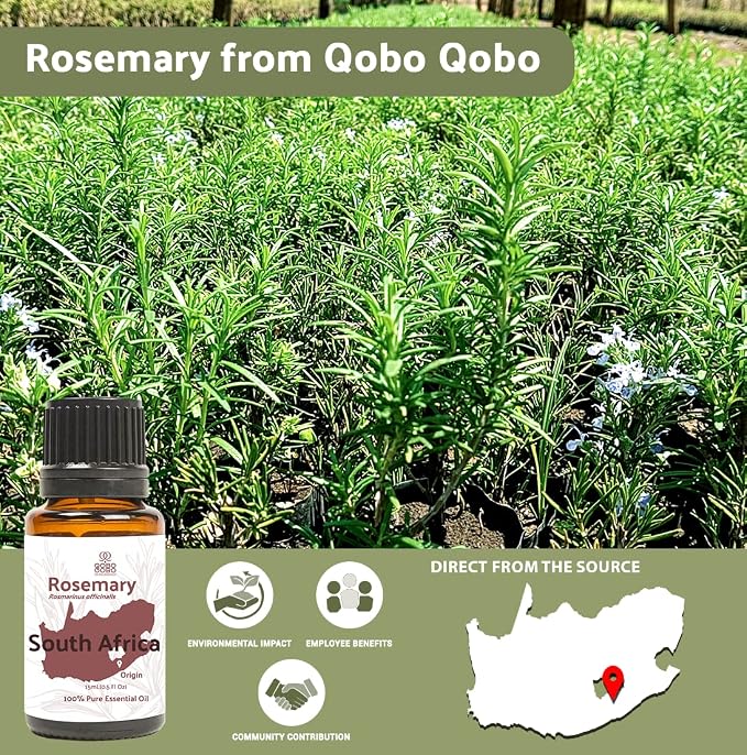 Rosemary Essential Oil - Image 3