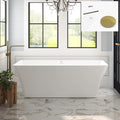 FerdY Sentosa 67" Acrylic Freestanding Bathtub, Contemporary Design Soaking Tub by FerdY