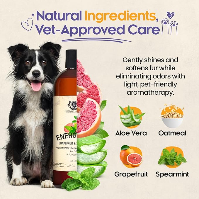 Dog Shampoo and Conditioner Energizing Grapefruit & Spearmint 16 Oz Dog Shampoo - Image 3