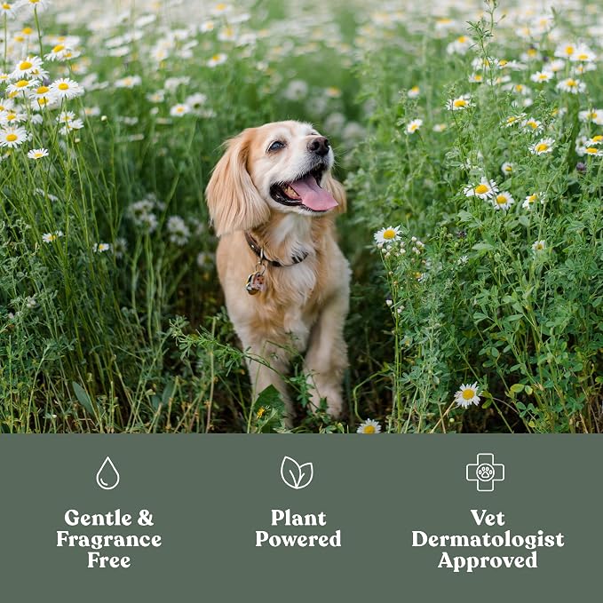 Dandylion Clean Paws | No-Rinse Dog Paw Cleaner & Puppy Paw Washer | Gentle - Image 3