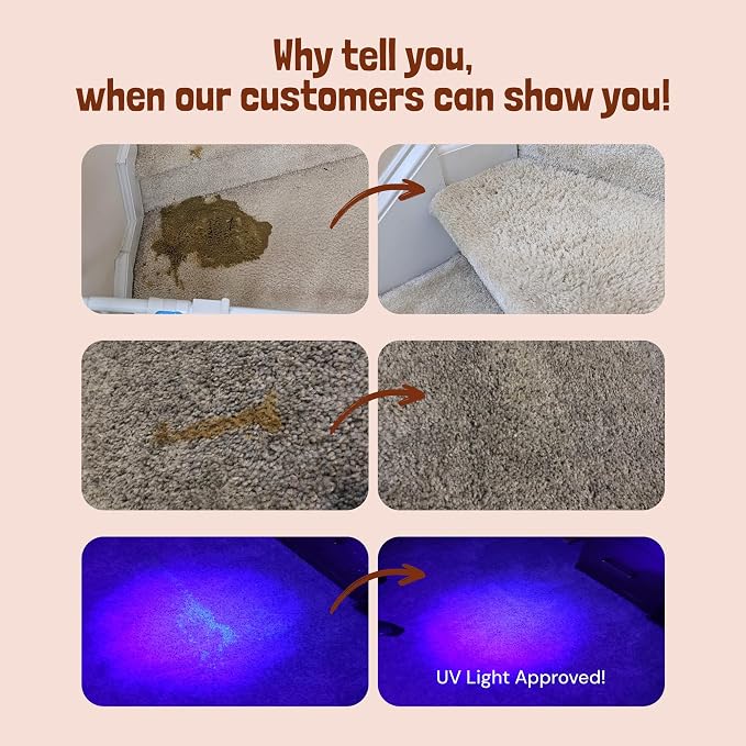 Sunny & Honey Pet Stain & Odor Miracle - Image 2