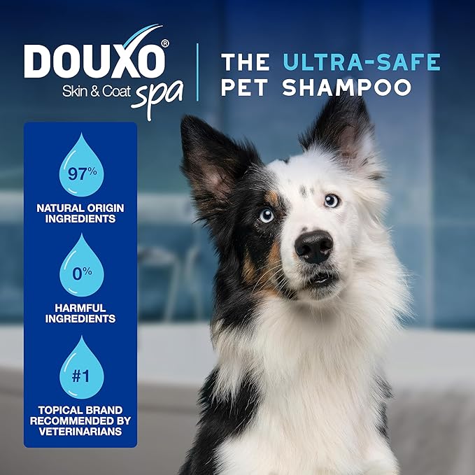DOUXO® Skin & Coat SPA - Image 5