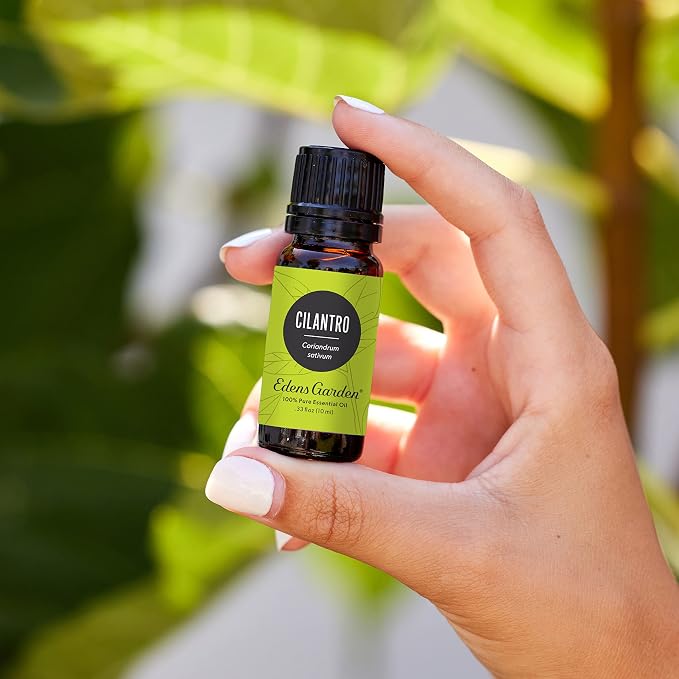 Edens Garden Cilantro Essential Oil- 100% Pure Premium Grade, Therapeutic - Image 2
