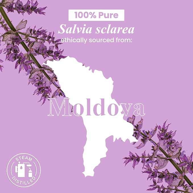 Handcraft Blends Clary Sage Essential Oil – 1 Fl Oz – 100% Pure and Natural – - Image 7