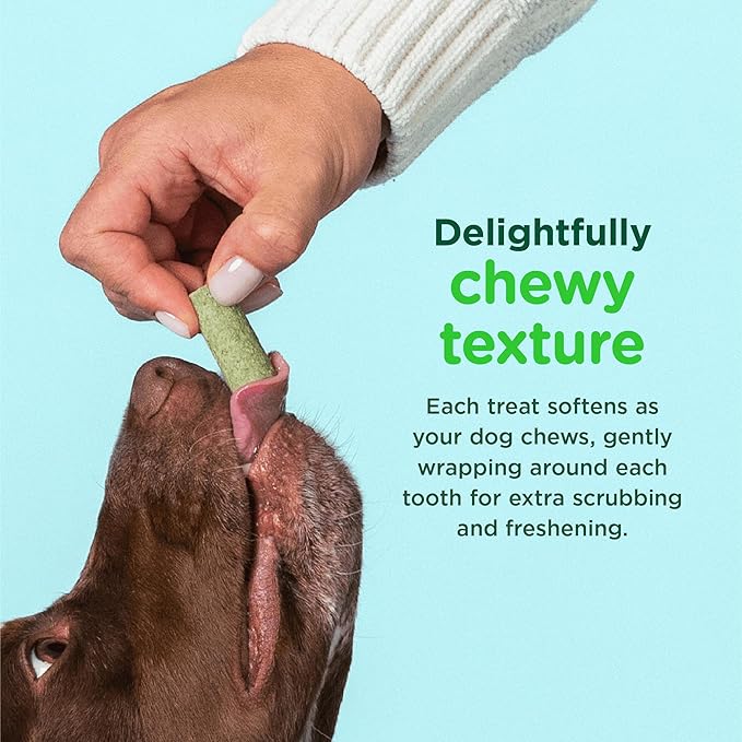 Minties FreshBites Soft and Chewy Dental Treats - Image 4