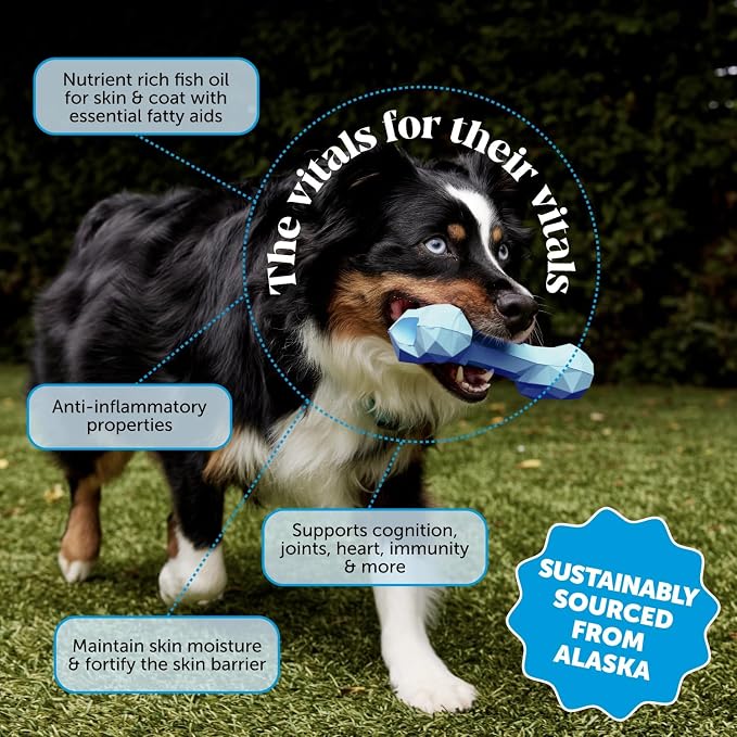 Pet Honesty Omega 3 Fish Oil Supplement - Image 2