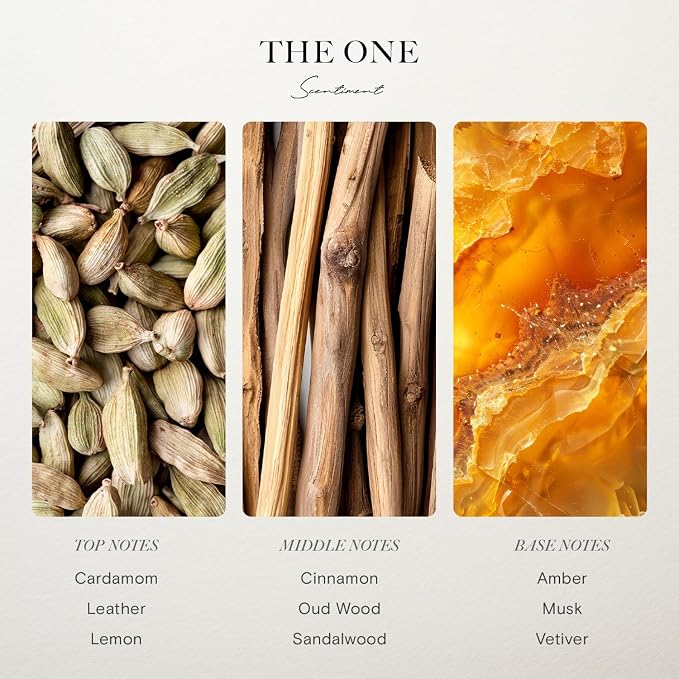 Scentiment Hotel Diffuser Oil Discovery Kit | Inspired by Five Star & Luxury - Image 6
