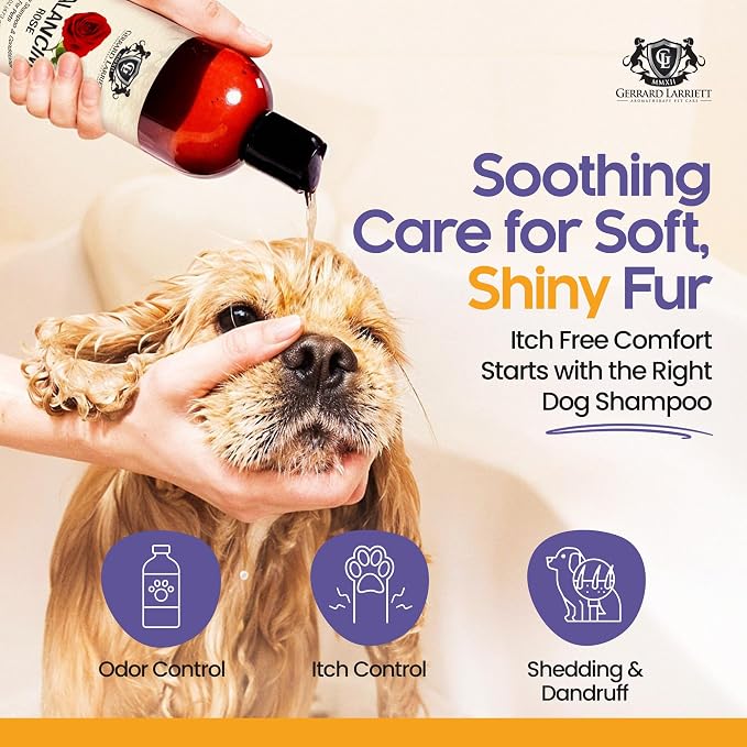 Dog Shampoo and Conditioner Balancing Rose 16 Fl Oz Dog Shampoo Itchy Skin - Image 2