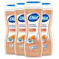 Dial Body Wash, Pamper & Indulge, Silk & Seaberry, 16 fl oz by DialSoap