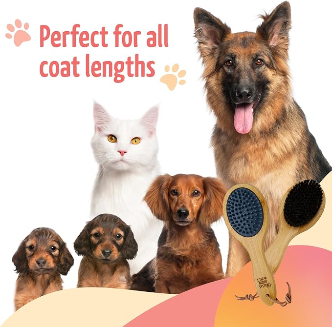 The Buddy System Combo Bristle Pet Brush, 2-in-1 Brush, Durable Rubber Side and - Image 5