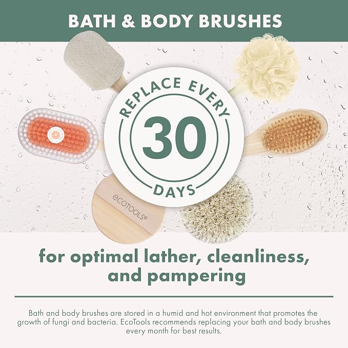 EcoTools Dry Body Brush, For Post Shower & Bath Skincare Routine, Removes Dirt - Image 12