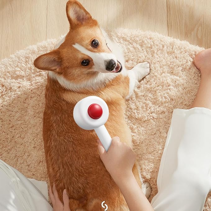 Dog Shower Brush, Cat Grooming Massaging Cleaning Supplies - Image 2