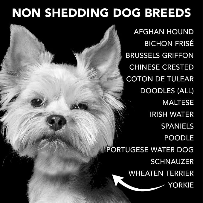 Pride and Groom The Non Shedder Box Set – Dog Shampoo & Conditioner - Image 8