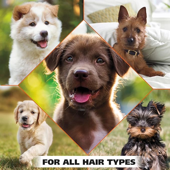 Wahl USA Gentle Puppy Shampoo for Pets – Cornflower Scent for Grooming Dirty - Image 8