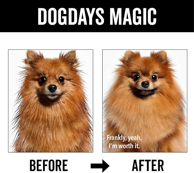 Pride and Groom DogDays Nourishing Dog Conditioner | Tearless, Hypoallergenic - Image 5