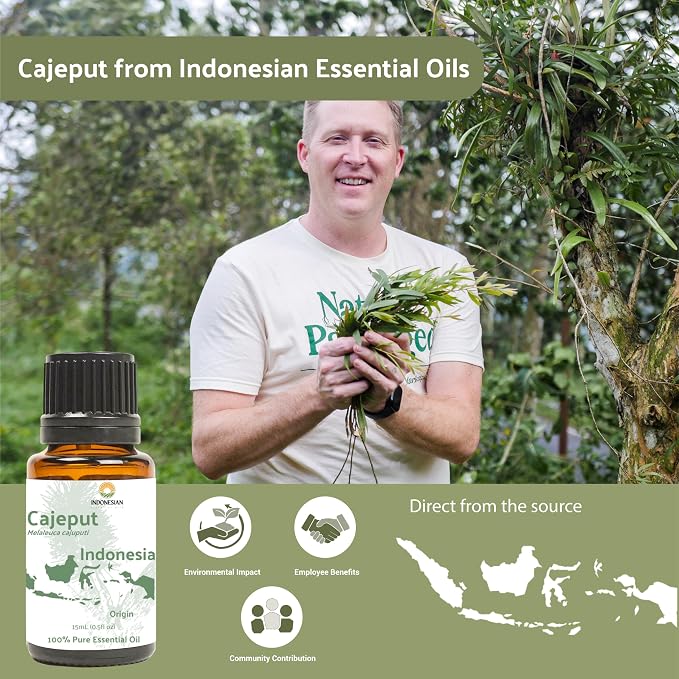 Cajeput Essential Oil - Image 4