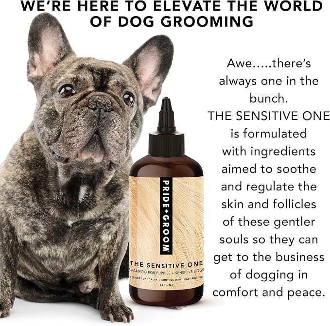 Pride and Groom The Sensitive One Dog Shampoo – All Natural Blend of Essential - Image 5